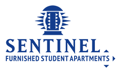 Sentinel Logo 250x250